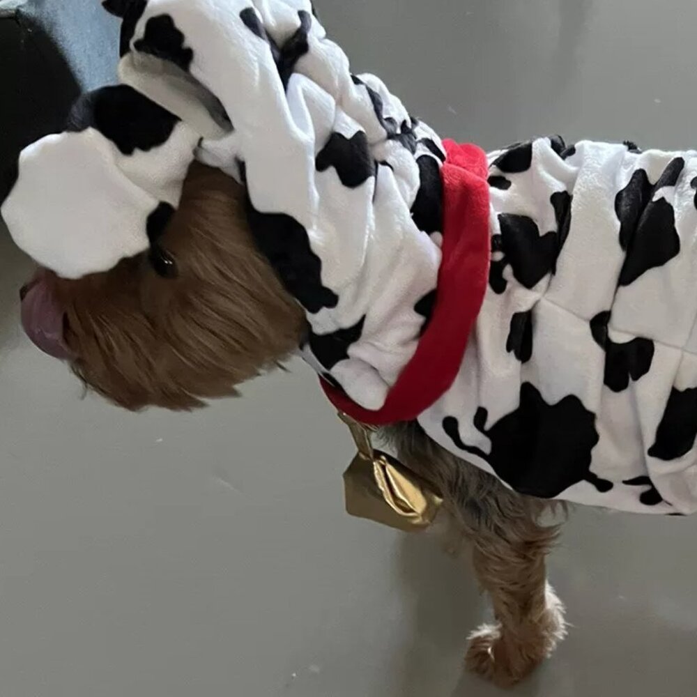 Halloween Dog Costume  Cow  LG